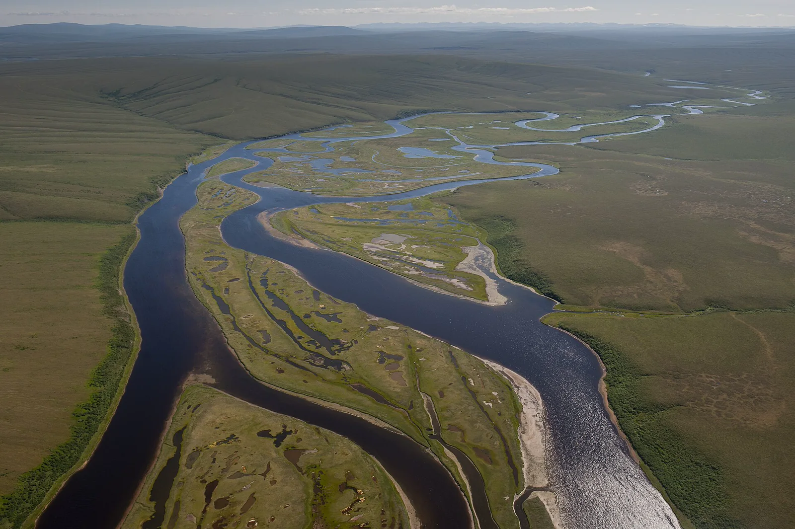 A meandering Alaska river winding through a broad green floodplain.