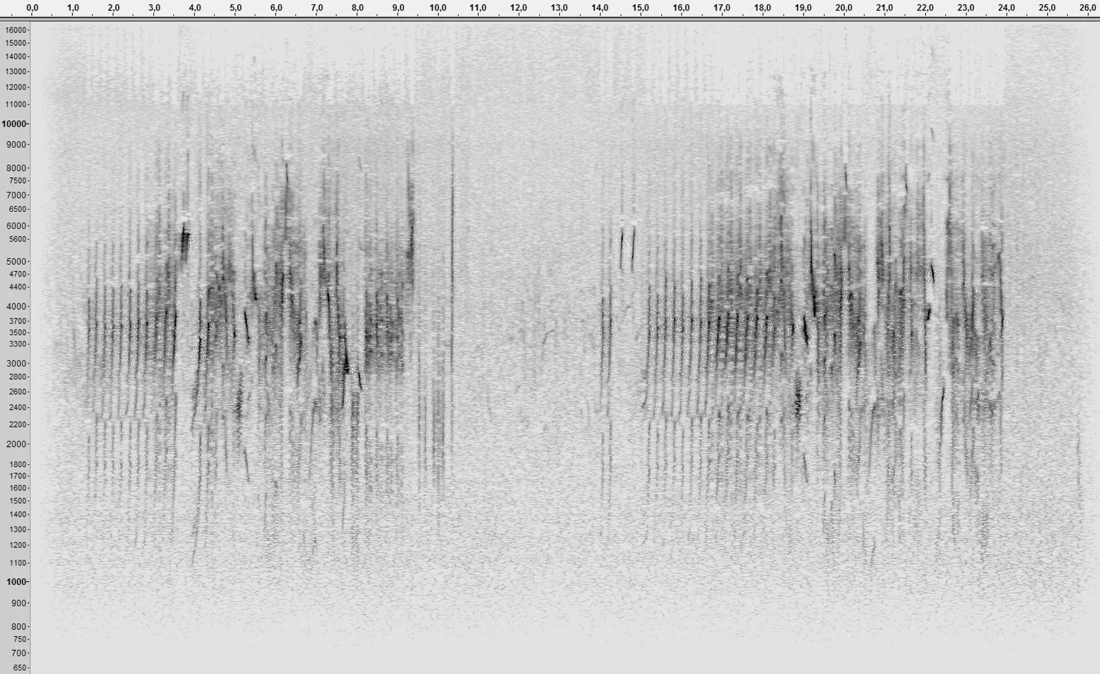 A spectrogram showing the changing frequencies of a melodious warbler song over time.