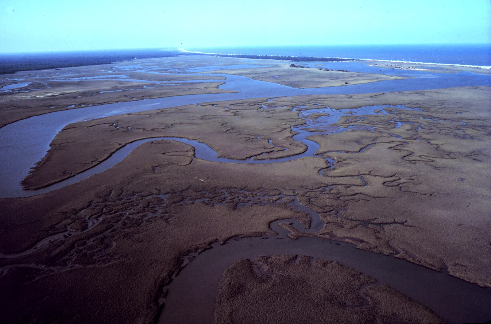 Aerial view of meandering tidal creeks crossing an extensive salt marsh.