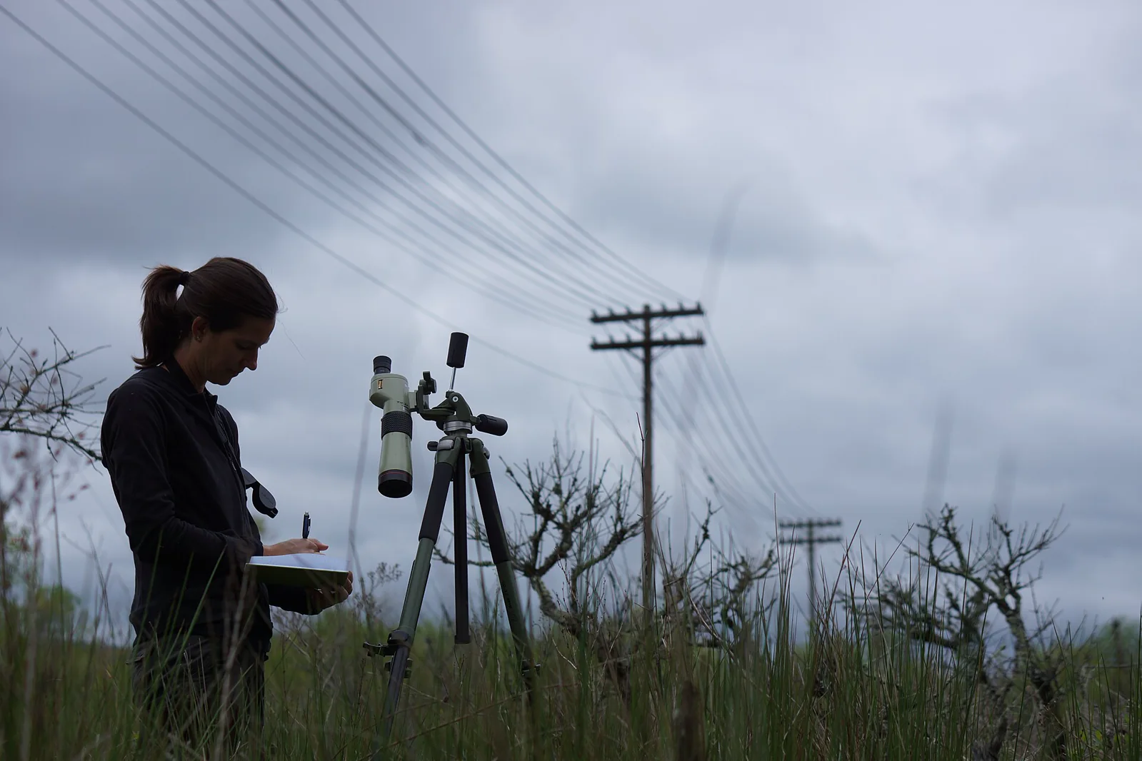 A field biologist checking notes beside a tripod during a bird survey.