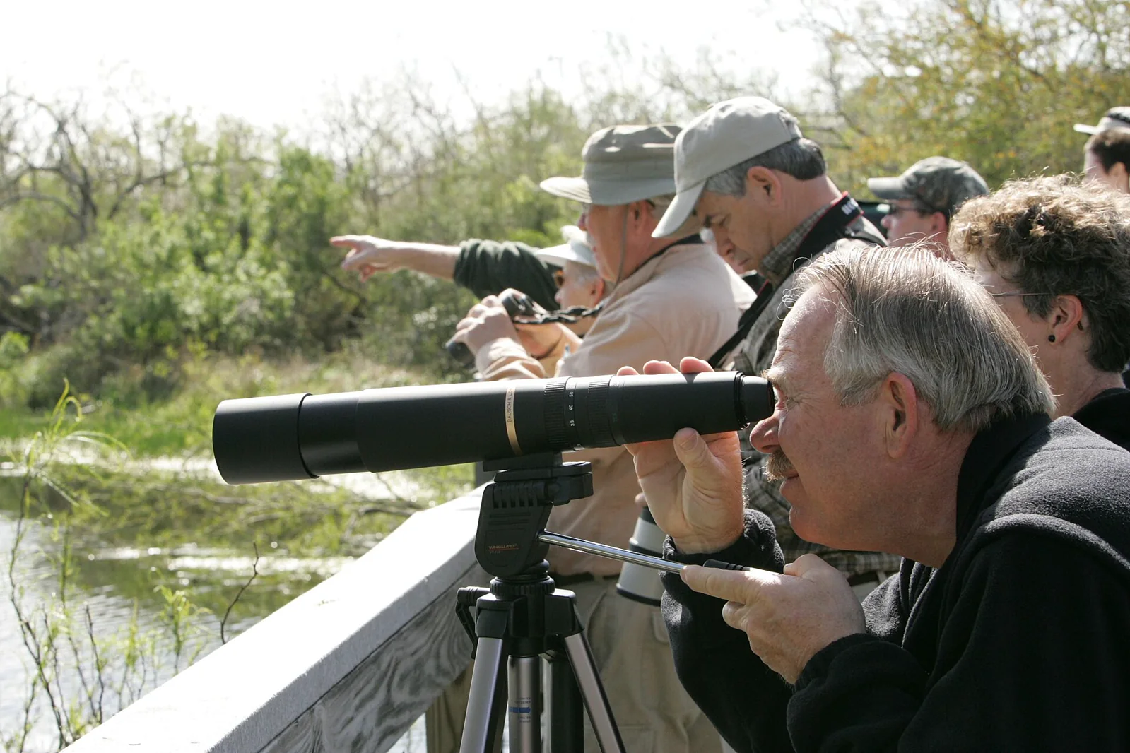 A group of birdwatchers using a spotting scope from a wetland boardwalk.